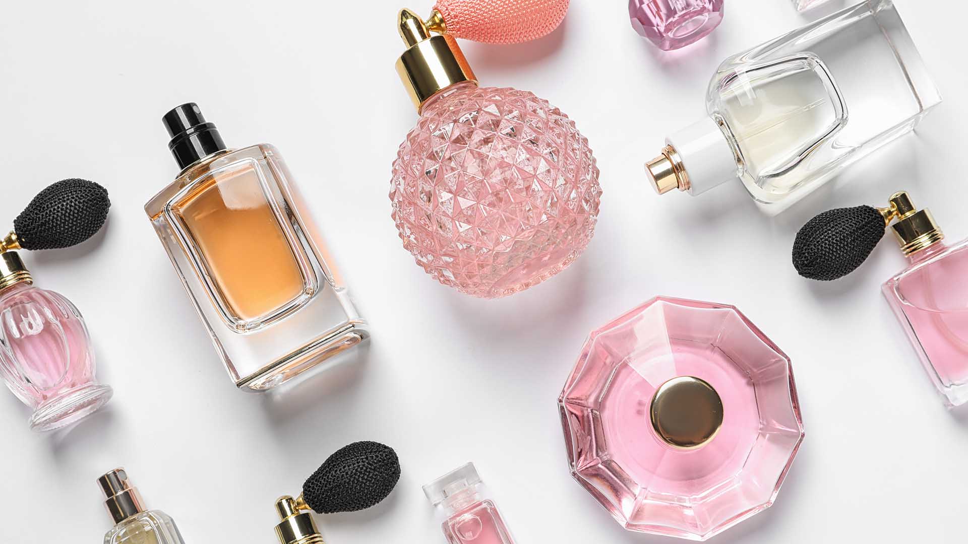copertina edt edp
