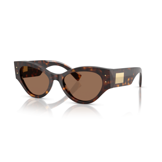 Occhiali Dolce & Gabbana DG 4480 502/73 53/19/140