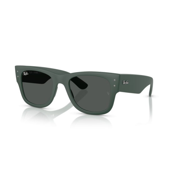 Occhiali Ray Ban RB 4840S 665787 50/21/145