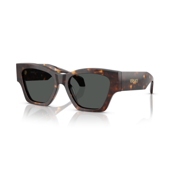 Occhiali Versace VE 4492U 108/87 53/18/140