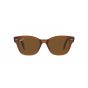Occhiali Ray Ban RB 0880S 664057 52/19/145