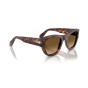 Occhiali Persol PO 0054S 24/M2 53/22/145