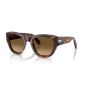 Occhiali Persol PO 0054S 24/M2 53/22/145