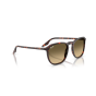 Occhiali Ray Ban RB 2203 14290A 55/20/145