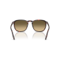 Occhiali Ray Ban RB 2203 14290A 55/20/145