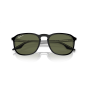 Occhiali Ray Ban RB 2203 919/58 52/20/145