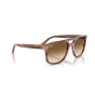 Occhiali Ray Ban RB 2213 142351 58/20/150