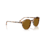 Occhiali Ray Ban RB 2230 135733 53/21/145 BERNARD