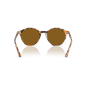 Occhiali Ray Ban RB 2230 135733 53/21/145 BERNARD