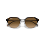 Occhiali Ray Ban RB 4429 710/M2 53/20/145