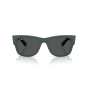 Occhiali Ray Ban RB 4840S 665787 50/21/145