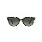 Occhiali Ray Ban RB 2199 133371 52/22/145 ORION