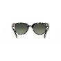 Occhiali Ray Ban RB 2199 133371 52/22/145 ORION