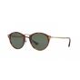 Occhiali Persol PO 3166S 24/31 51/22/145