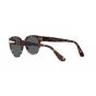 Occhiali Persol PO 3287S 1159B1 51/19/145