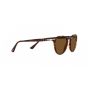 Occhiali Persol PO 3286S 24/57 51/19/140
