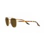 Occhiali Ray Ban RB 3688 001/AN 52/19/145